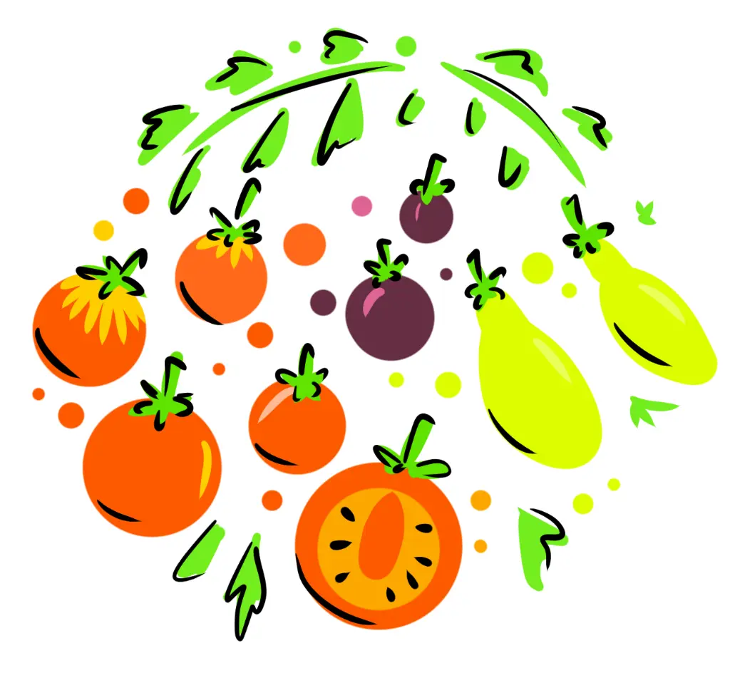 tomate cerise bio lyophilisée