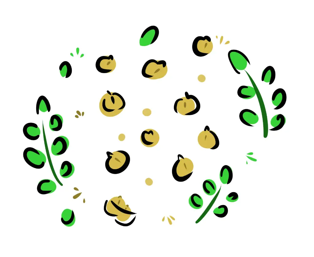 pois chiches cuits bio lyophilisés